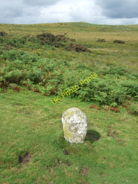 Photo 6"x4" Boundary stone west of Heckwood Tor Sampford Spiney c2010