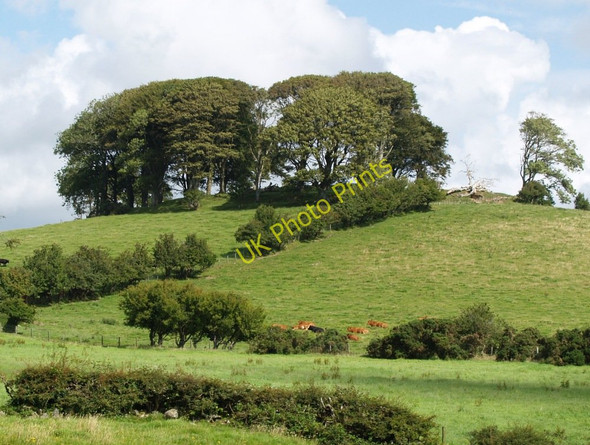 Photo 6"x4" The Doon,  Twynholm Twynholm c2010