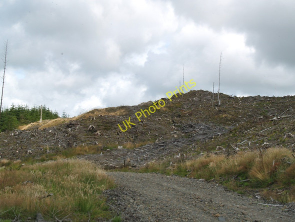 Photo 6"x4" Fuffock Hill, Glangap Forest, Twynholm. Gatehouse of Fleet c2010