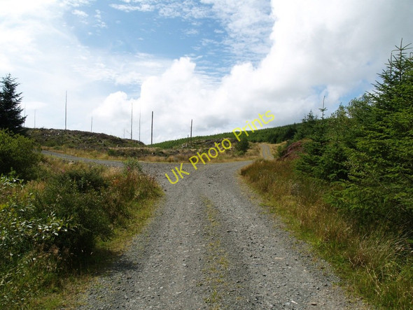 Photo 6"x4" Forest Road, Glengap Forest Bengray c2010