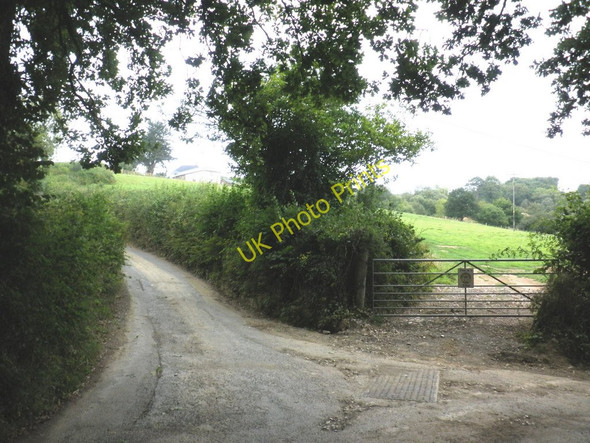 Photo 6"x4" Hill Lane, Whitestone Whitestone\/SX8693 c2010