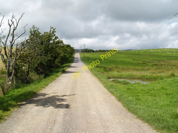 Photo 6"x4" On the road to Irelandton Farm, Twynholm. Twynholm c2010