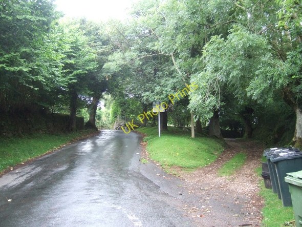Photo 6"x4" Pollarded sycamores at Ponsworthy Higher Dunstone c2010