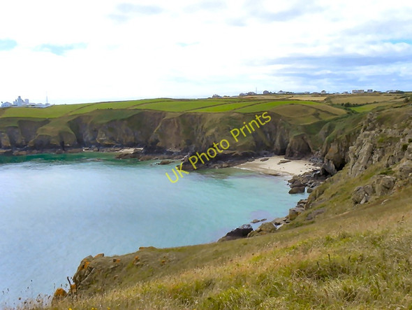 Photo 6"x4" Housel Bay Lizard c2010