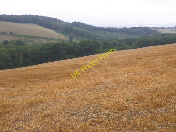 Photo 6"x4" Stubble field, near Hangmans Corner Heath Cross\/SX8494 c2010
