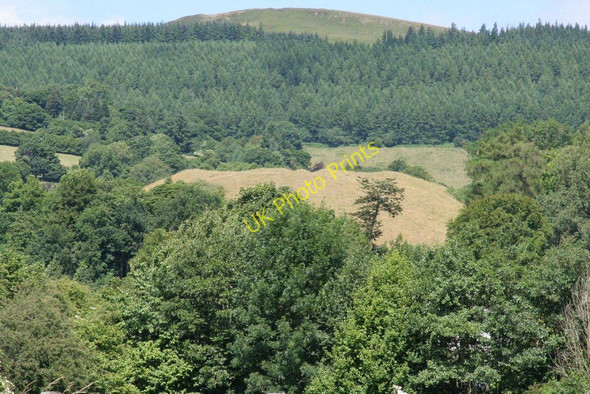 Photo 6"x4" Castle above the trees New Radnor c2010