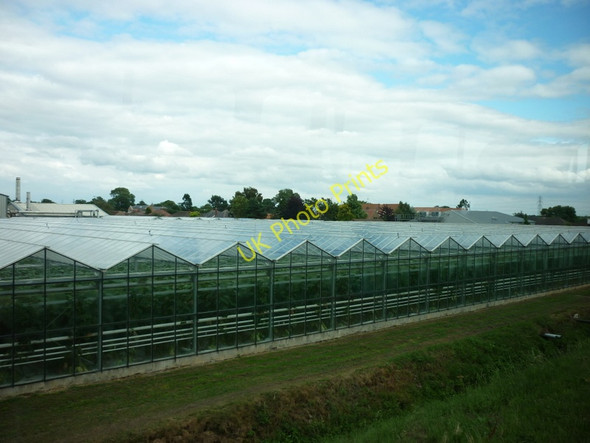 Photo 6"x4" Glasshouses on Hull Road Thearne c2010