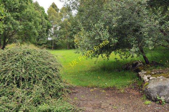 Photo 6"x4" Picnic area in Strath Avon Glenlivet c2010