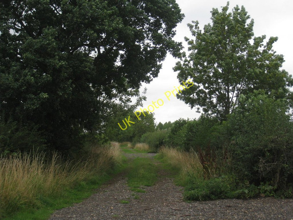 Photo 6"x4" Farm track off Thorpe Lane near Brattleby Aisthorpe c2010