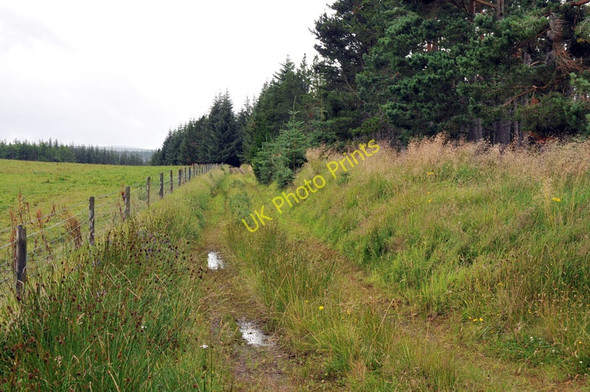 Photo 6"x4" Track along the edge of forestry near Tomintoul Tomintoul\/NJ1618 c2010
