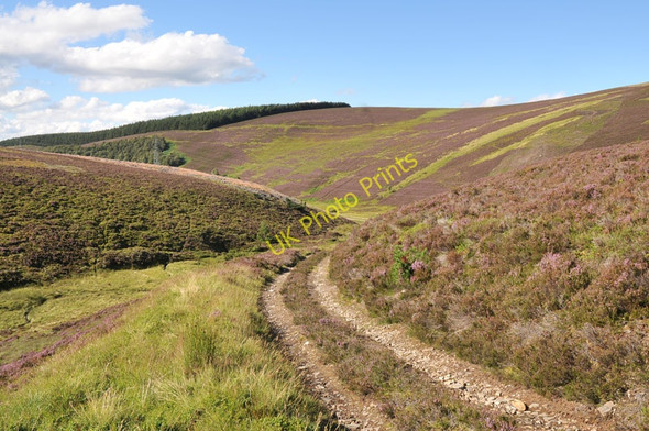 Photo 6"x4" Hill track near The Lecht Lurg Dhubh c2010