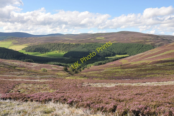 Photo 6"x4" Looking down the route of the Corrie Burn Corgarff c2010