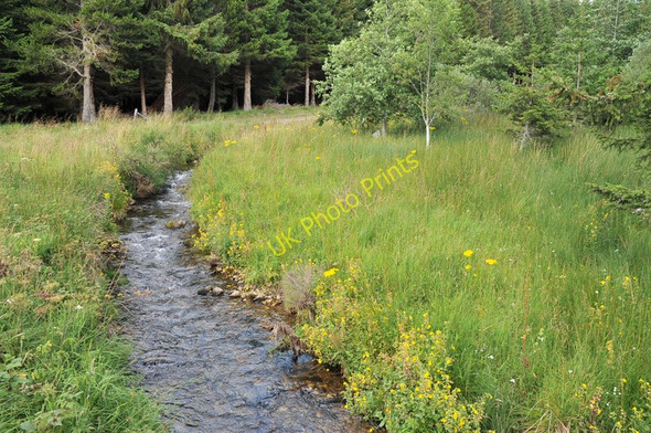 Photo 6"x4" Conrie Water at Culfork Roughpark c2010
