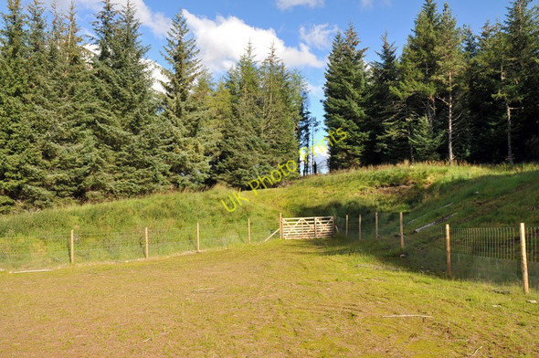 Photo 6"x4" Levelled area beside the forest track near Culfork Roughpark c2010