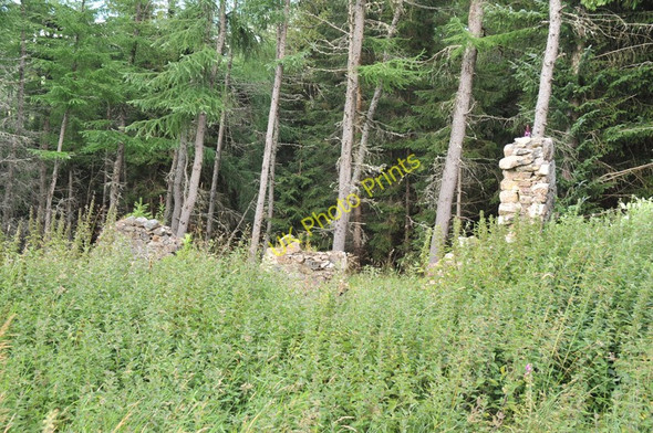 Photo 6"x4" Ruined building near Culfork Roughpark c2010