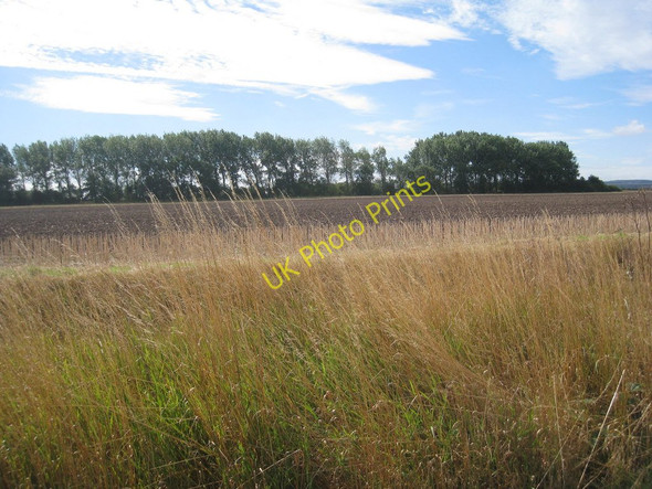 Photo 6"x4" Windbreak near Saxby Bridge Appleby\/SE9514 c2010