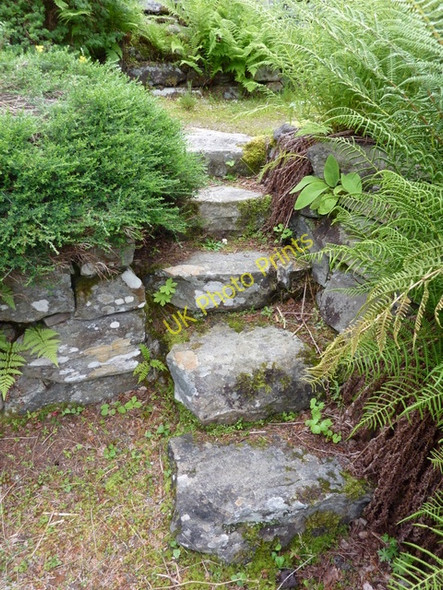 Photo 6"x4" Garden steps at Jack Drakes Nursery Alvie c2010