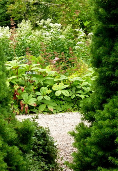 Photo 6"x4" Gardens at Jack Drakes Nursery Alvie c2010