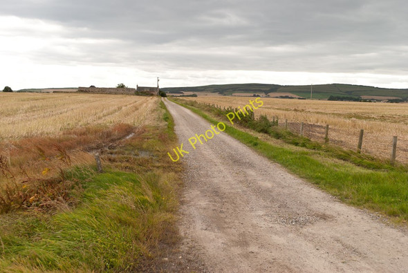 Photo 6"x4" Track to Balblair Fearn c2010
