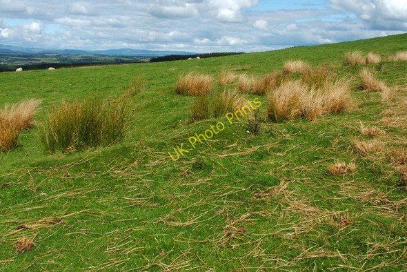 Photo 6"x4" Remains of Aridow: the wall of a yard Gallangad Muir c2010