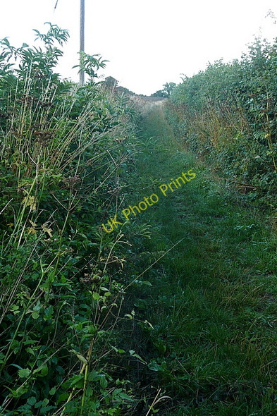 Photo 6"x4" Prite Lane North End\/SU5829 c2010