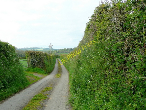 Photo 6"x4" Lane from Bodway Doddycross c2010