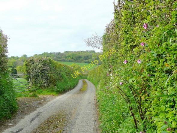 Photo 6"x4" Lane from Bodway Lower Clicker c2010