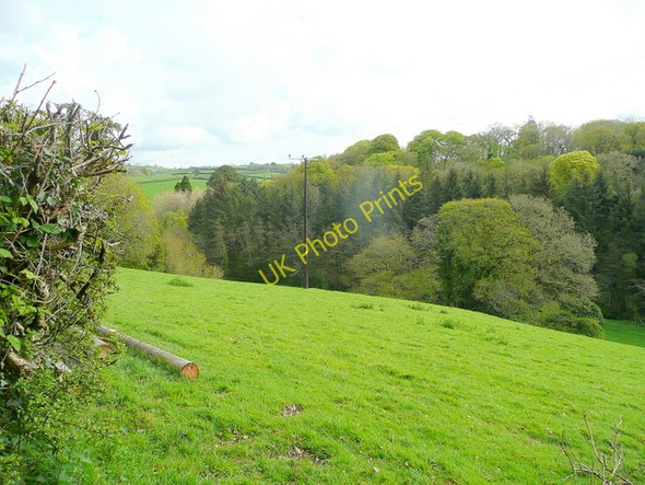 Photo 6"x4" View across the Seaton valley 2 Lower Clicker c2010