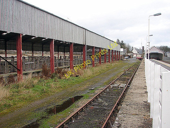 Photo 6"x4" Disused cattle pens and siding at Thurso Thurso c2007