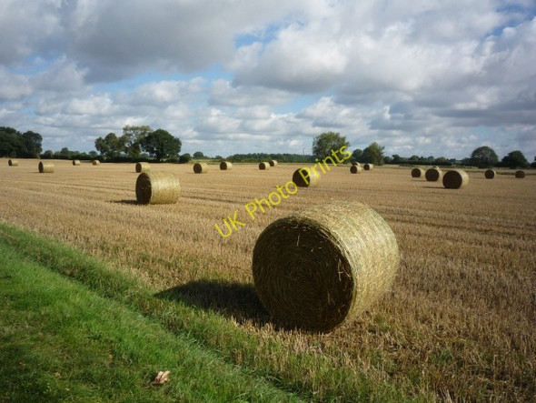 Photo 6"x4" Farmland off Naburn Lane Deighton\/SE6244 c2010
