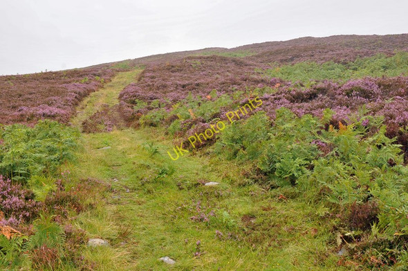 Photo 6"x4" Hill track near Gruinards Wester Gruinards c2010