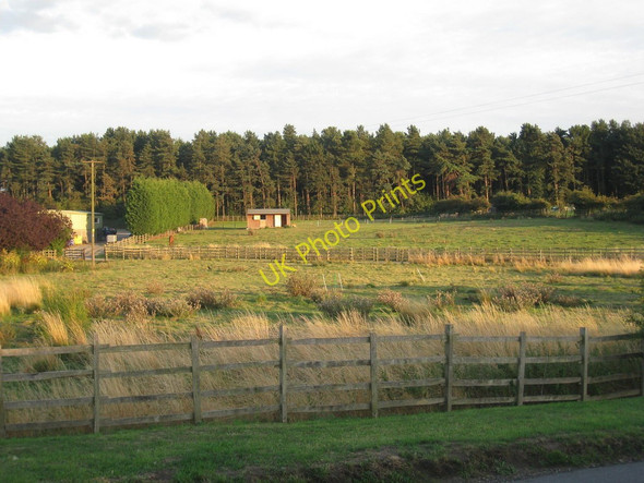 Photo 6"x4" Paddocks off Common Road, Broughton Broughton\/SE9608 c2010