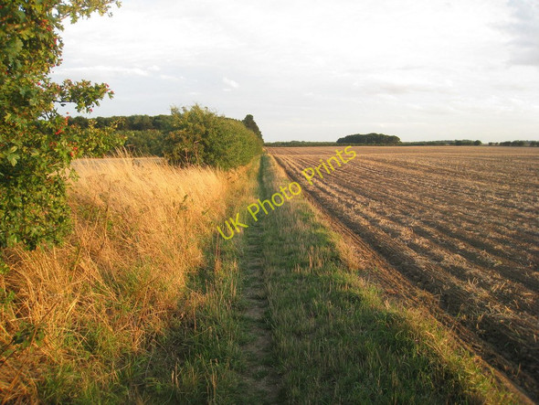 Photo 6"x4" Footpath to Castlethorpe (1) Broughton\/SE9608 c2010