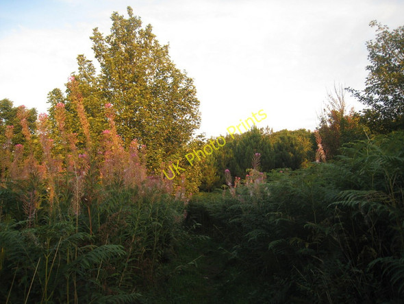 Photo 6"x4" Footpath to Castlethorpe (2) Broughton\/SE9608 c2010