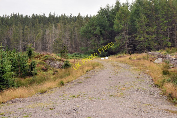 Photo 6"x4" Spur off the main forestry road in Birchfield Wood Achnahanat c2010