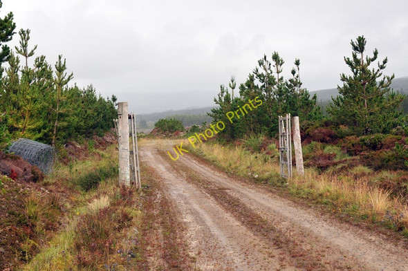 Photo 6"x4" Gate on the forestry road in Birchfield Wood Altass c2010