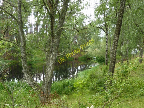 Photo 6"x4" Pond at Inshriach House Alvie c2010
