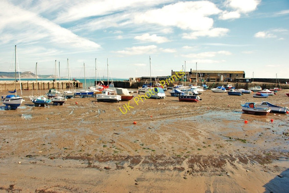 Photo 6"x4" Lyme Regis Harbour Lyme Regis c2007