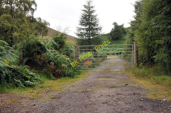 Photo 6"x4" Track into Struie Wood Ardchronie c2010