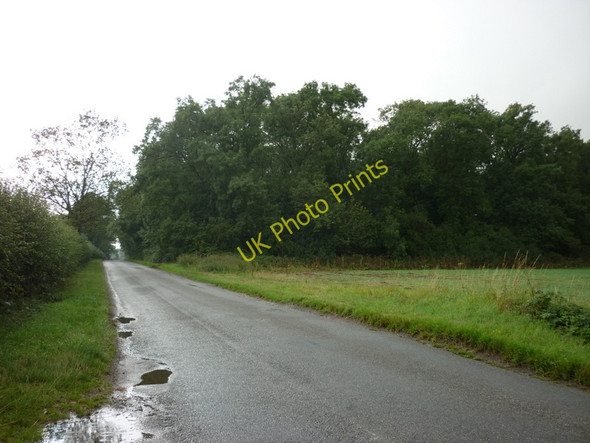 Photo 6"x4" A wood next to Wells Road, near Healing Aylesby c2010