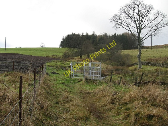 Photo 6"x4" Footpath to Faifley Bearsden c2007