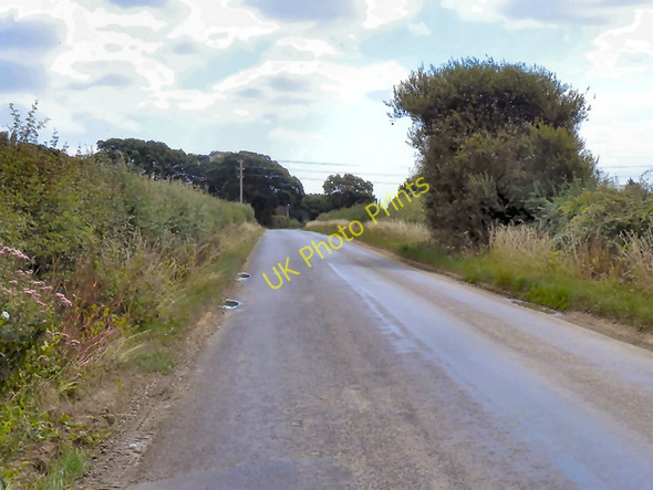 Photo 6"x4" Green Lane Sidlesham Common c2010