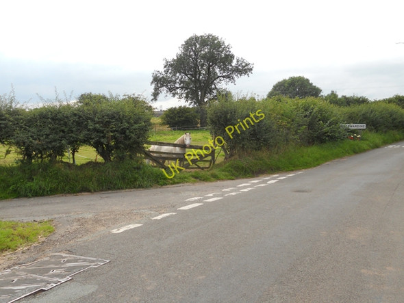 Photo 6"x4" On guard at Cheswardine Cheswardine c2010