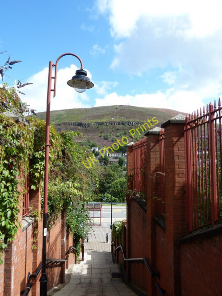 Photo 6"x4" Mynydd Brith-weunydd from steps, Tonypandy Tonypandy c2010