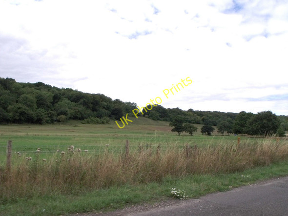 Photo 6"x4" Fields north of Walderton, West Sussex Walderton c2010