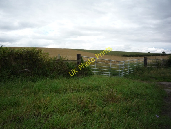 Photo 6"x4" Gates on Acres Lane Leppington c2010