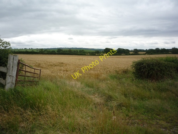 Photo 6"x4" Field off Acres Lane Leppington c2010