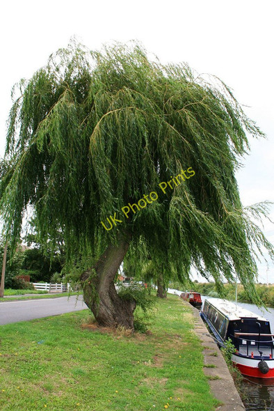 Photo 6"x4" Visiting an old friend Beeston\/SK5236 c2010