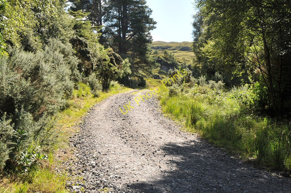 Photo 6"x4" Track near East Lodge, Roshven Roshven c2010