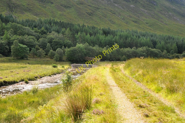 Photo 6"x4" Track to Glenlochy Crossing River Lochy\/NN2529 c2010